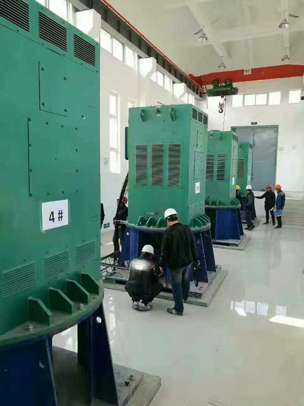 新罗某污水处理厂使用我厂的立式高压电机安装现场