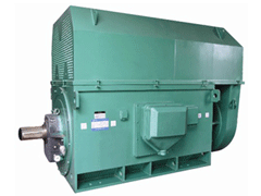 新罗Y系列6KV高压电机